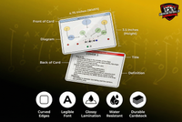 Volume 1: Terms and Coverages (PREORDER - SHIPS JAN 2026)